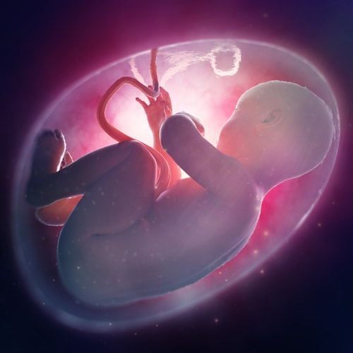 Asesoria Genetica Prenatal